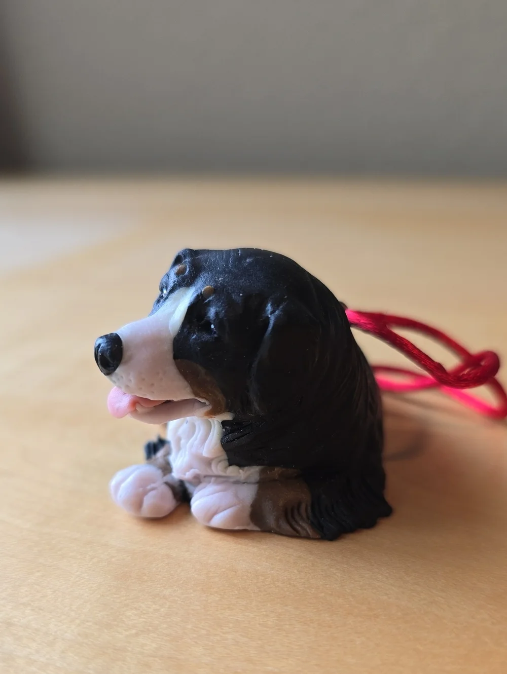N/A cute bernese